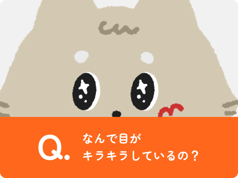 なんで目がキラキラしているの？