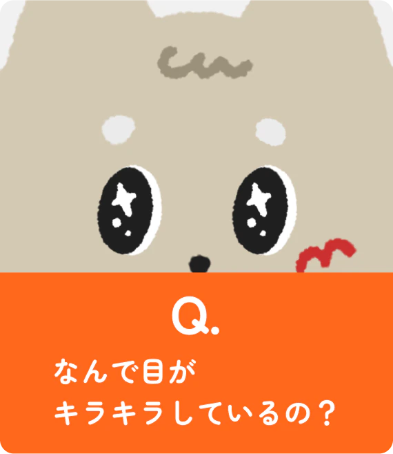 なんで目がキラキラしているの？
